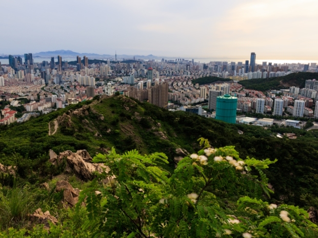 机构：超41城或暂停新增宅地出供，去库存策略是否刺激新房销售